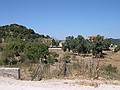ci addentriamo nel Parco su strade non asfaltate per la gioia mia e del mio compagno di avventura...