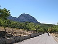 foto da lontano dei due di prima che tentano la fuga...