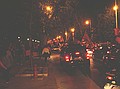 il lungo corteo